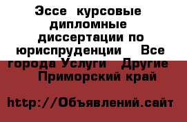 Эссе, курсовые, дипломные, диссертации по юриспруденции! - Все города Услуги » Другие   . Приморский край